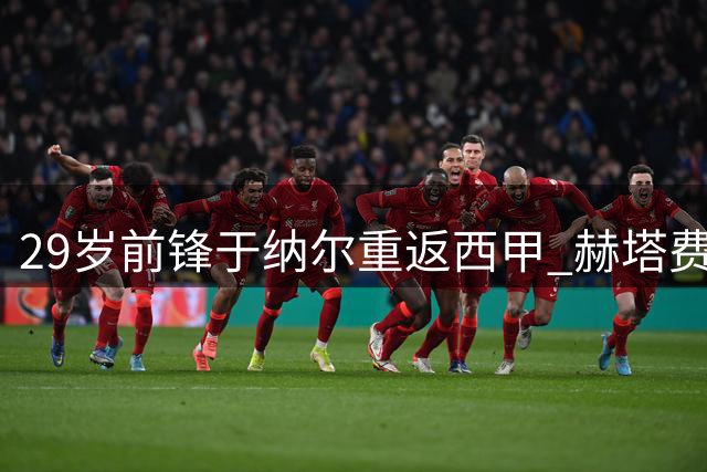29岁前锋于纳尔重返西甲 赫塔费签下三年合约